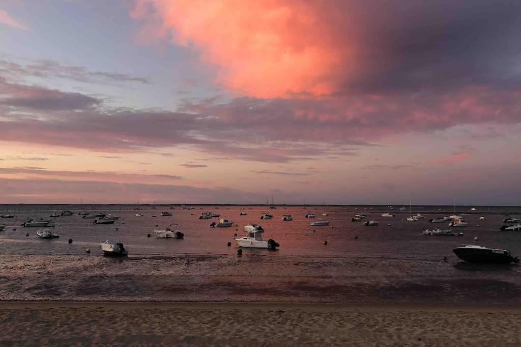 Maison A Arcachon Avec Piscine Hors-Sol Exteriör bild